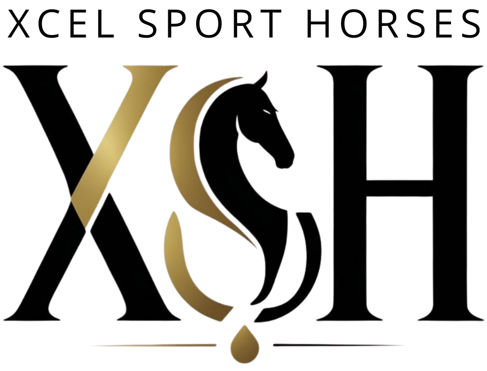 Xcel Sport Horses by WA Designs