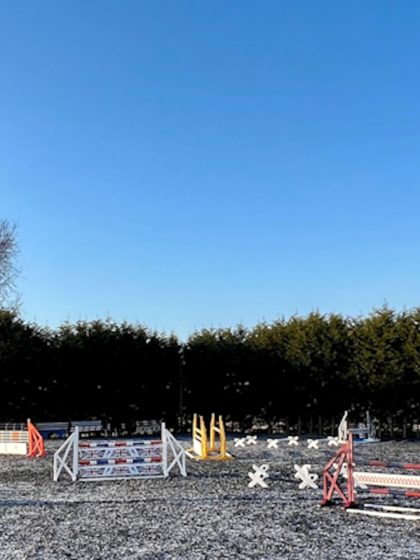 Firs & Feathers Equestrian